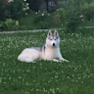 Meet your Posher, Rita